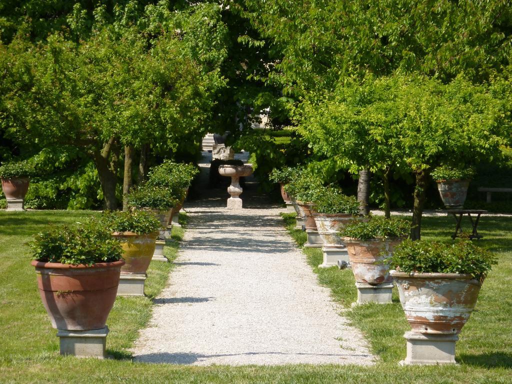 Villa Alberti دولو المظهر الخارجي الصورة
